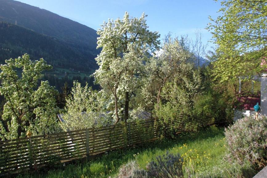 Studio Ualysses Arzl im Pitztal Luaran gambar